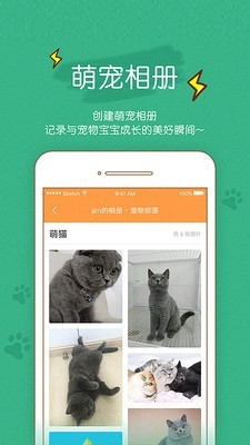 宠物部落