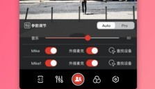 智麦