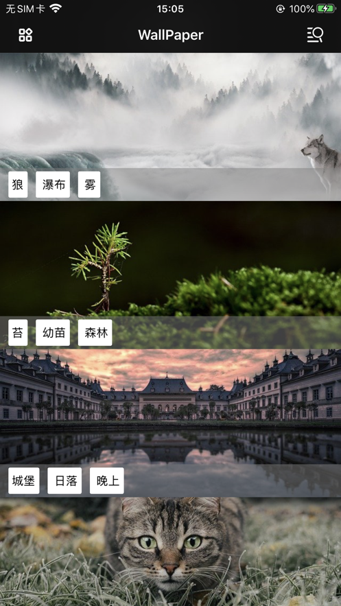 简约壁纸 ios版