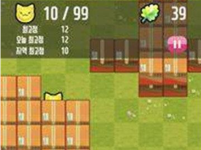 猫尾巴奇妙经历