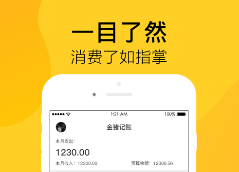 1605250048853770.png 金猪记账 ios版