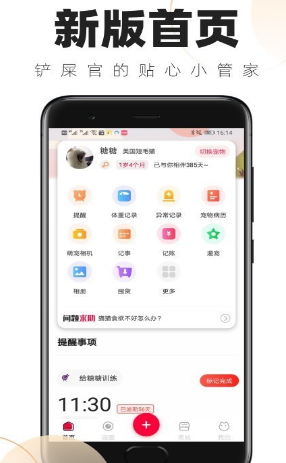 铲屎官的日常