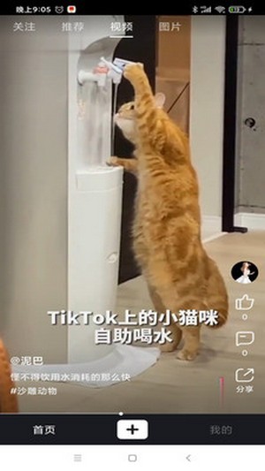 道友