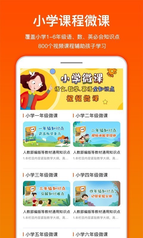 龙宝小掌门