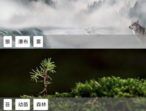 1607662174215026.png 简约壁纸 ios版