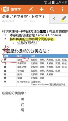 OneNote