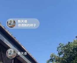 1608002896764050.png 苏兔美化