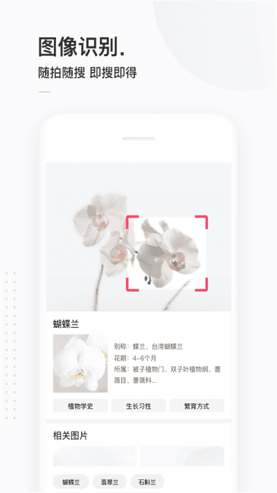 简单搜索手机版