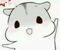 hamham仓鼠表情包