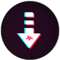 抖音视频下载器 最新版v1.4