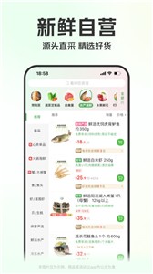 叮咚买菜安卓版