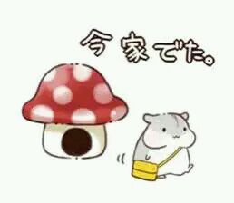 hamham仓鼠表情包