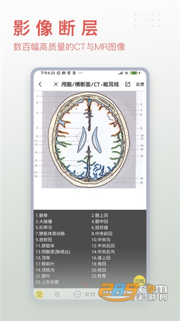 3dbody解剖学软件下载手机专业版v8.8.83安卓官方版