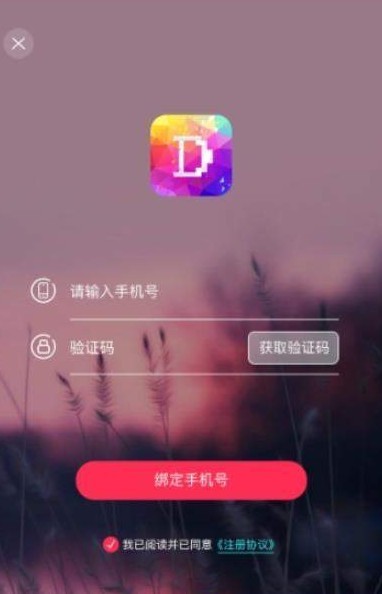 一张动态壁纸