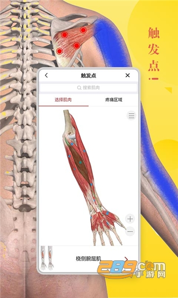 3dbody解剖学软件下载手机专业版v8.8.83安卓官方版