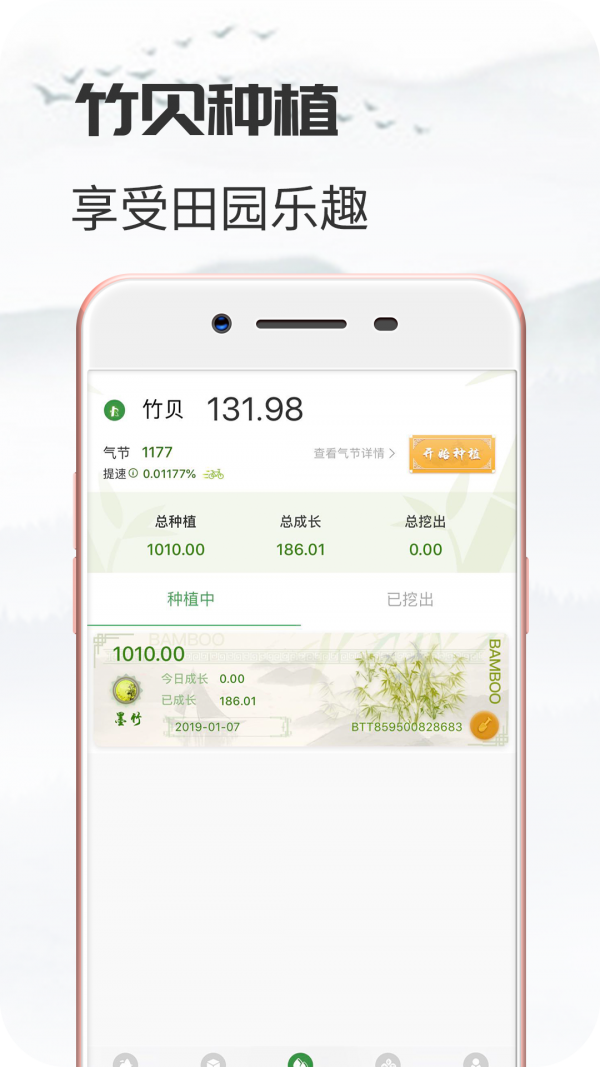 竹贝