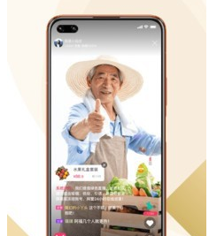 野售