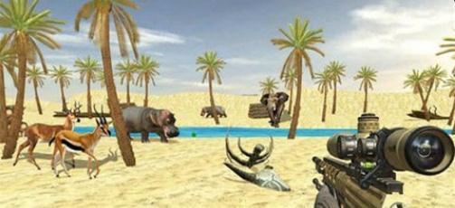 SafariHunt3D