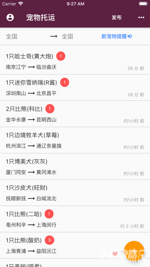 宠物托运