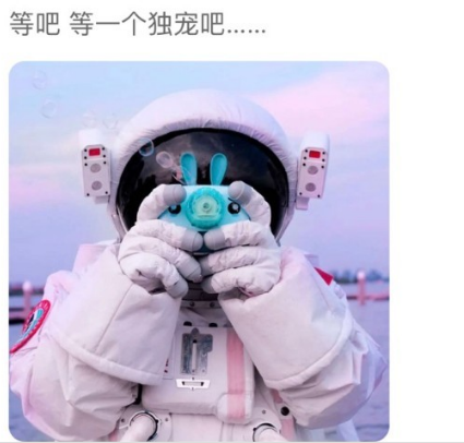 兽兽