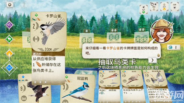 展翅翱翔