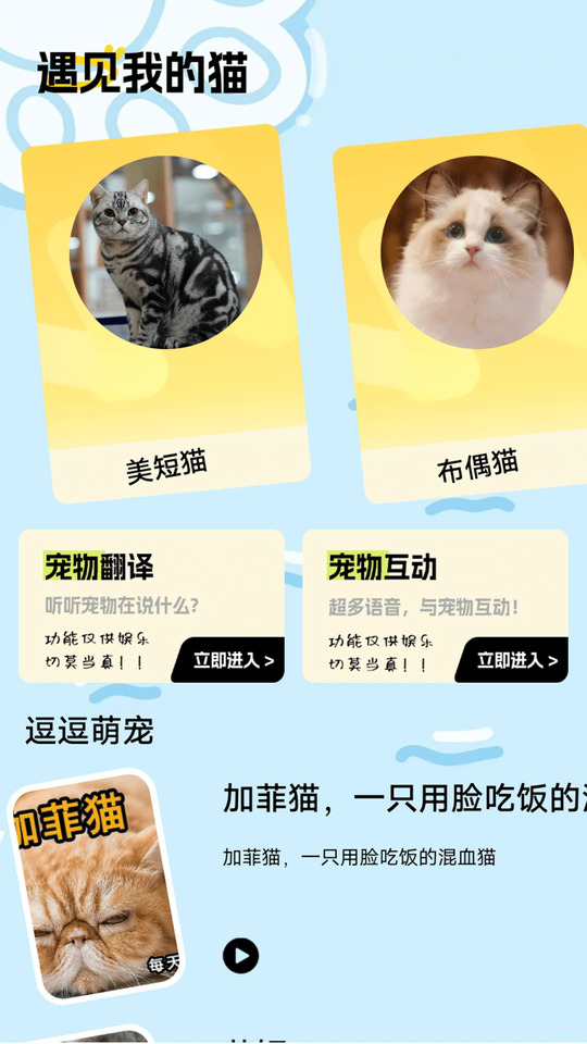 遇见你的猫舍