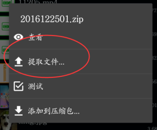 老外管理器pro解压百度网盘文件