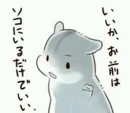 hamham仓鼠表情包
