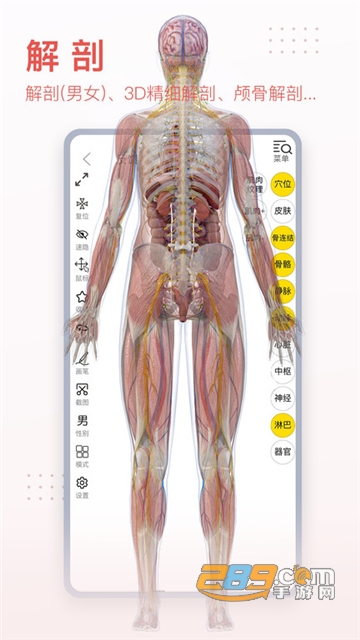 3dbody解剖学软件下载手机专业版v8.8.83安卓官方版