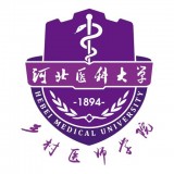 云上冀医河北乡医一体化管理app安卓版v3.1安卓版