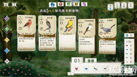 展翅翱翔