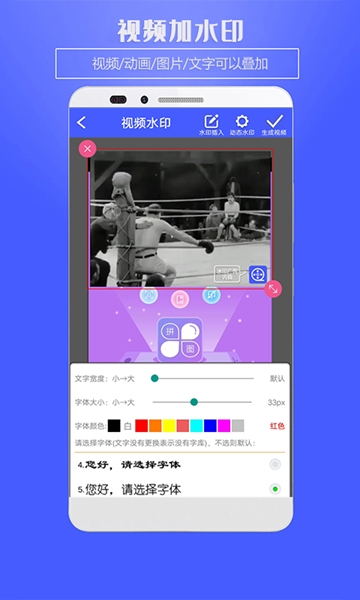 视频水印王图片1