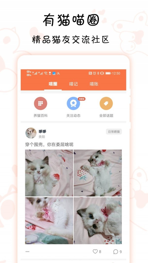 有猫