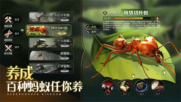 小小蚁国单机离线版