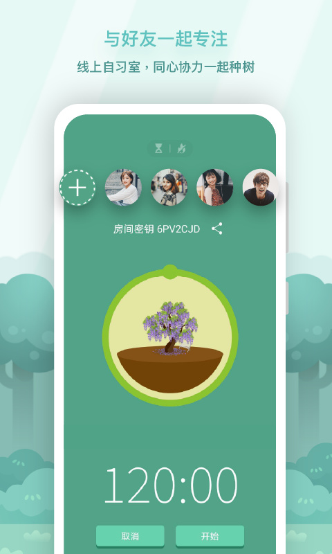forest森林