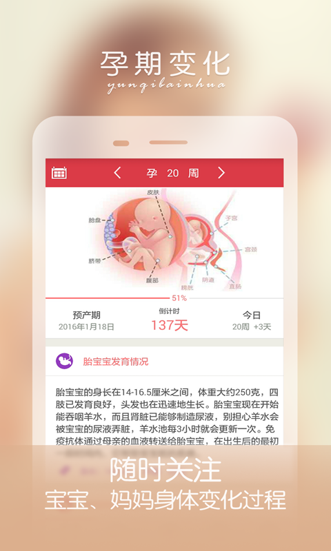 孕妇伴侣APP