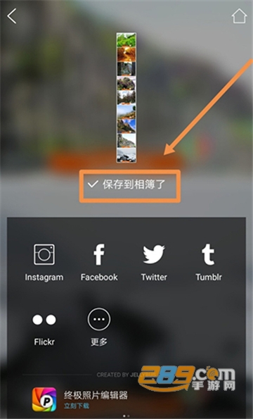 moldiv闪退修复免费版