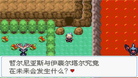 口袋妖怪：雪之白 3.0版（悟饭）