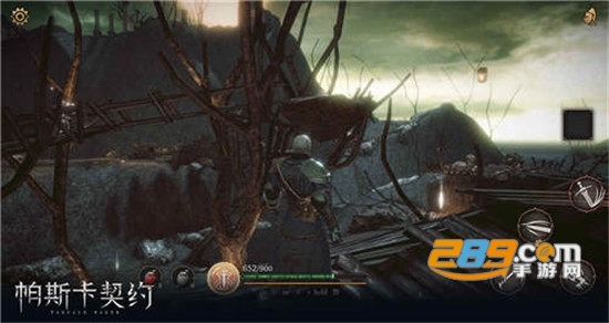 帕斯卡契约国际服免付费验证破解版1.0.11