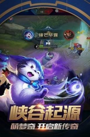 TG框架王者荣耀