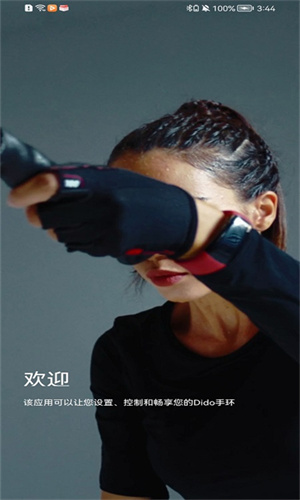 dido手环