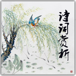 诗词赏析APP