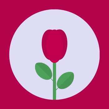 女性私人医生APP