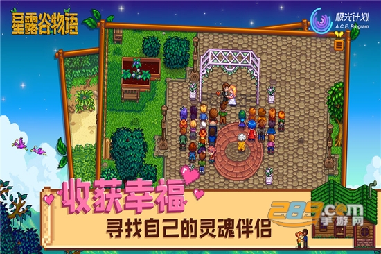 Stardew Valley星露谷物语无限金币汉化中文版2020v1.4.5