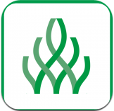 伴我考教师证APP