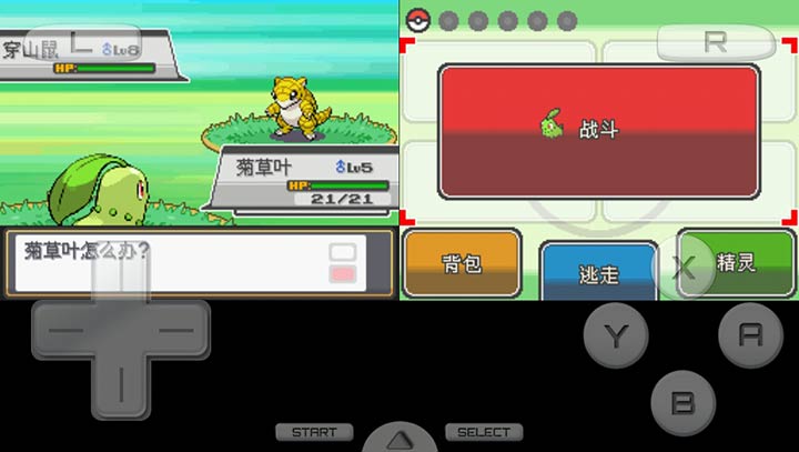 口袋妖怪：节操作死金终结版（悟饭）