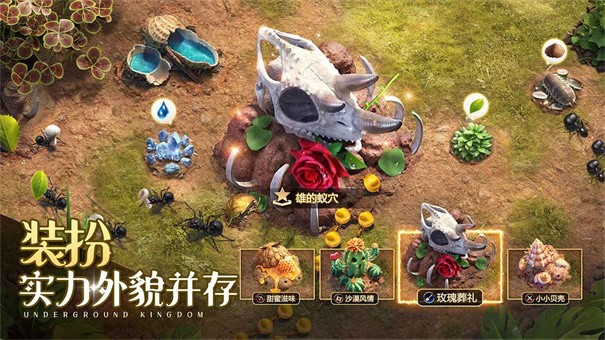 小小蚁国单机离线版