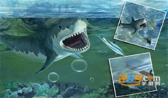 大白鲨的复仇v1.6.9v1.6.9