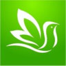 百灵健康APP