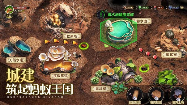 小小蚁国单机离线版